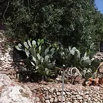 La Ginestra בית כפרי