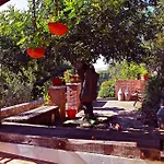 La Ginestra * שאקה