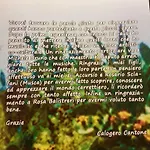 La Ginestra