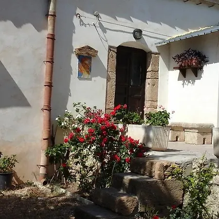 La Ginestra *