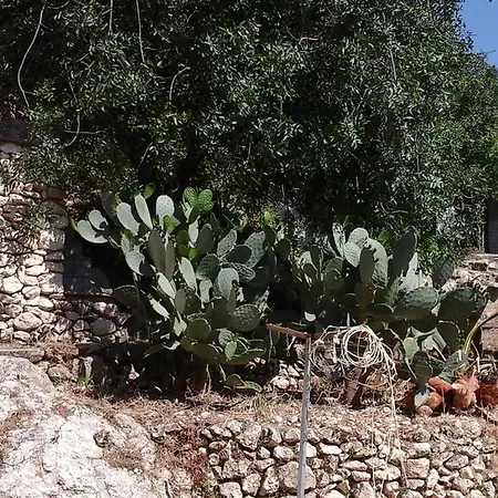 La Ginestra Venkovský dům