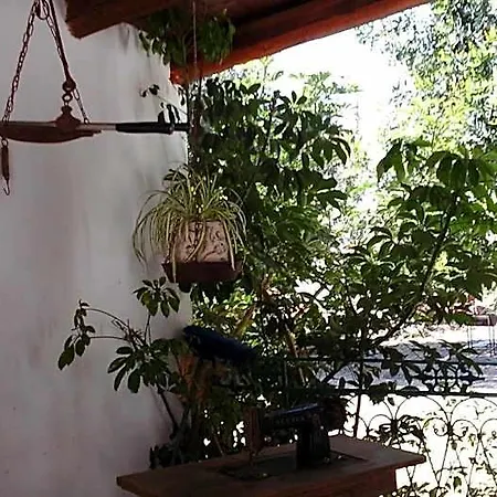La Ginestra Шакка
