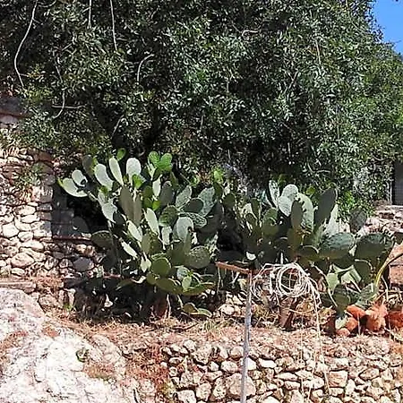 La Ginestra Шакка