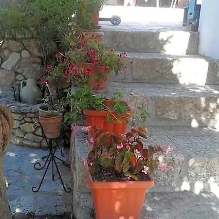 Летний дом La Ginestra