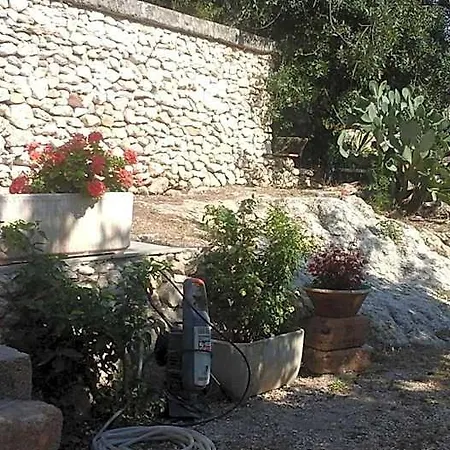 La Ginestra * Шакка