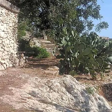 La Ginestra Летний дом *