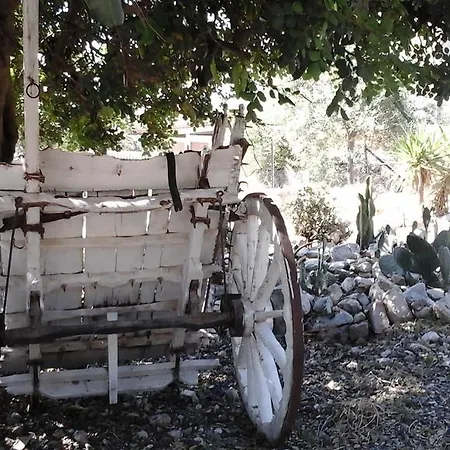 La Ginestra فندق مبيت وإفطار شاكا