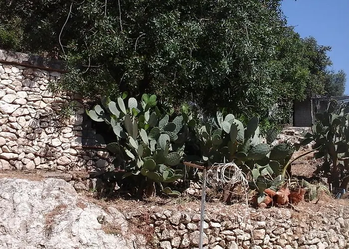 La Ginestra Отель типа 